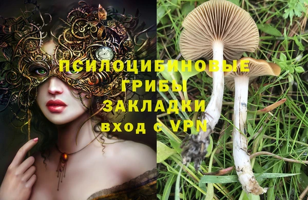 прущая мука Богородск