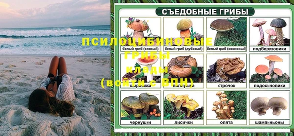 прущая мука Богородск