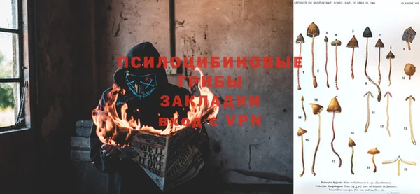 прущая мука Богородск
