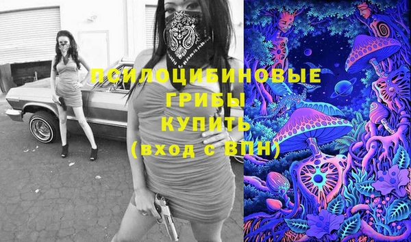 спайс Белокуриха