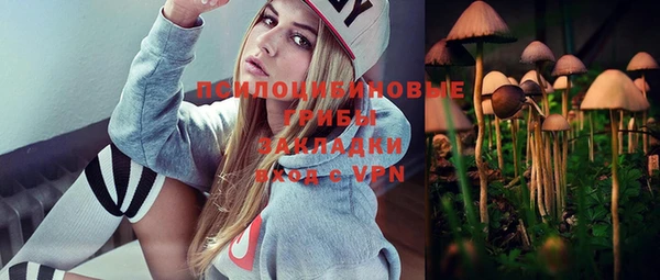 прущая мука Богданович