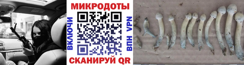 цены   Бирюч  Галлюциногенные грибы Magic Shrooms 